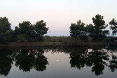 20170805_203210