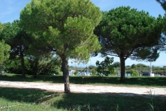DSC05603
