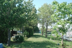 DSC07527